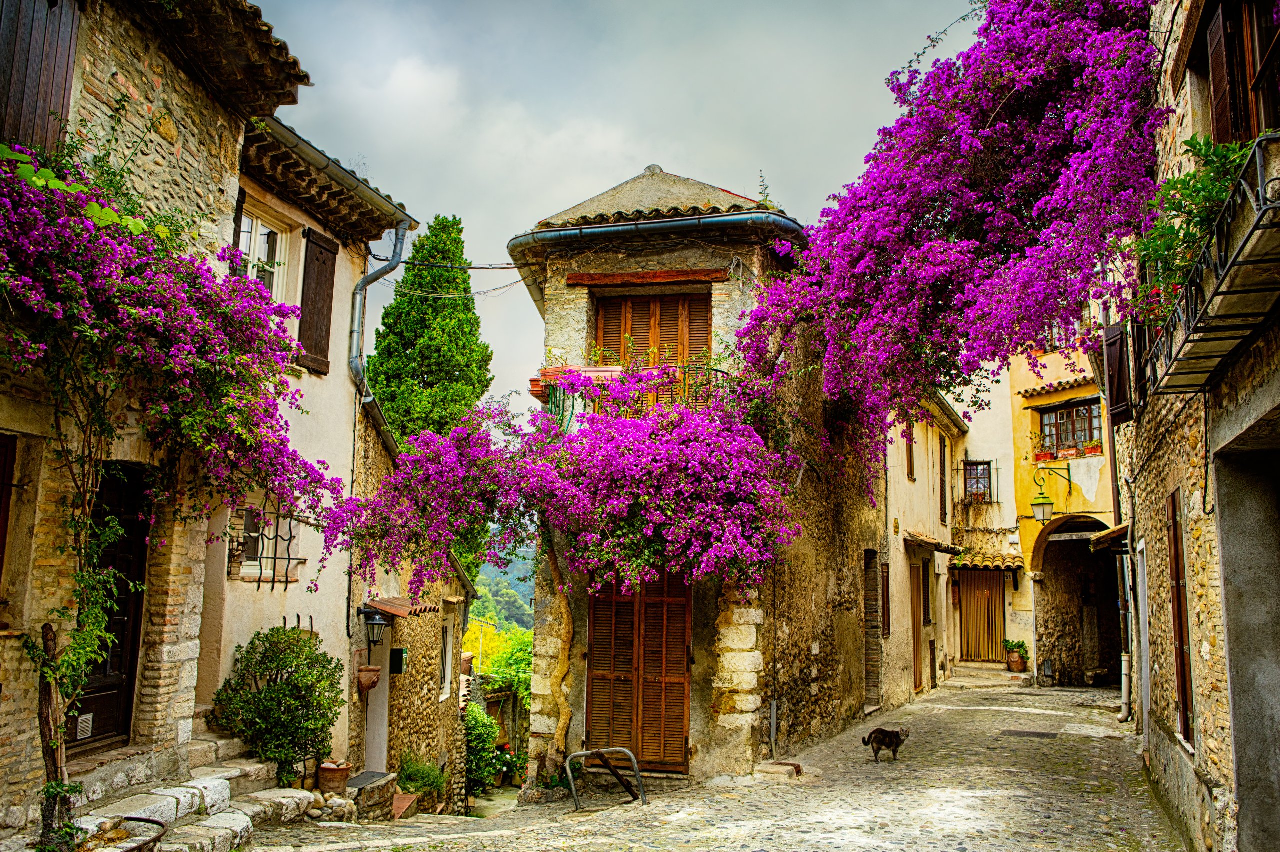 Provence town